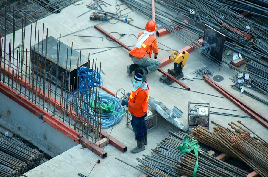 Chantier d'élagage et d'abattage d'arbre, ARTISAN MD